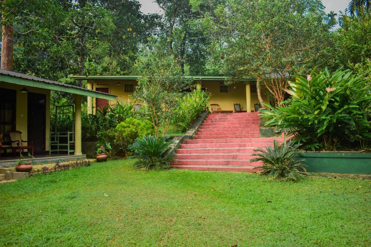 Blue Magpie Lodge Sinharaja Kudawe Extérieur photo